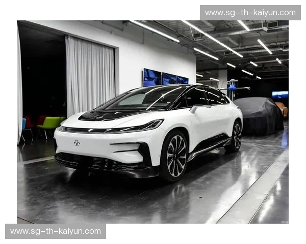 开云app官方下载，开启奢华生活新体验